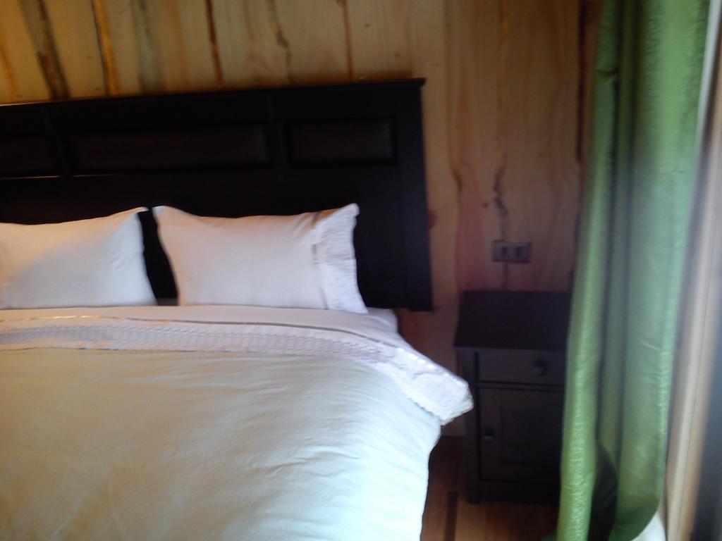 Hostal Los Alamos Neltume Kamer foto